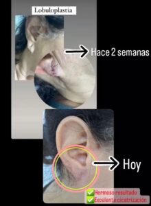 WhatsApp Image 2025-10-07 at 19.59.52